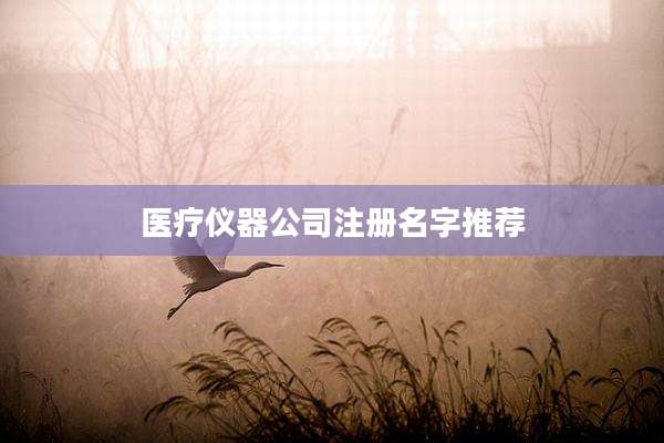 医疗仪器公司注册名字推荐
