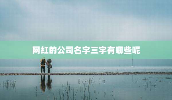 网红的公司名字三字有哪些呢