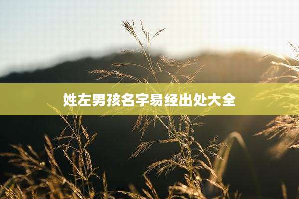 姓左男孩名字易经出处大全
