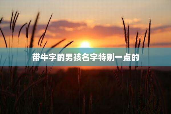 带牛字的男孩名字特别一点的