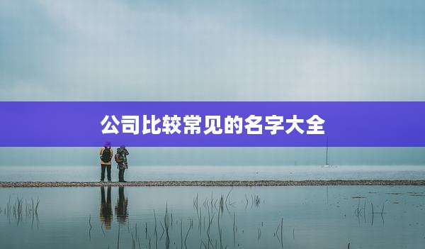 公司比较常见的名字大全