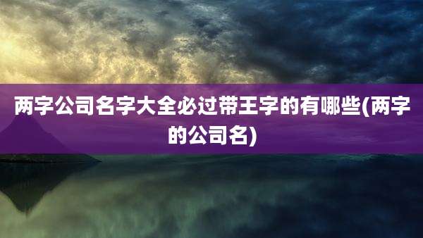 两字公司名字大全必过带王字的有哪些(两字的公司名)