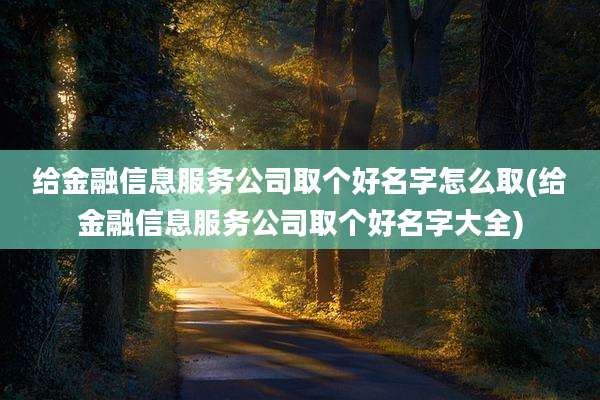 给金融信息服务公司取个好名字怎么取(给金融信息服务公司取个好名字大全)