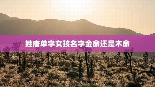 姓唐单字女孩名字金命还是木命