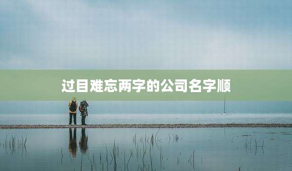 过目难忘两字的公司名字顺
