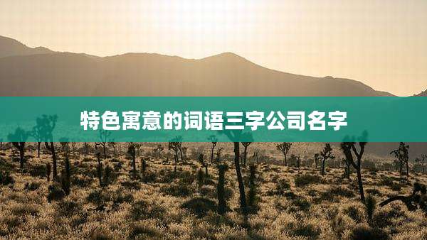 特色寓意的词语三字公司名字