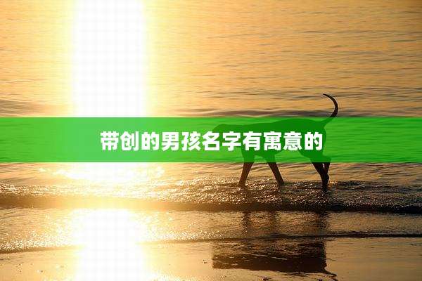 带创的男孩名字有寓意的