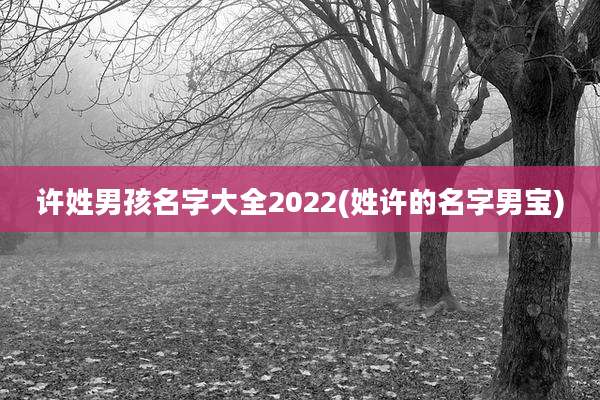许姓男孩名字大全2022(姓许的名字男宝)