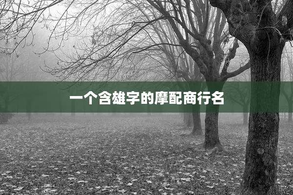 一个含雄字的摩配商行名
