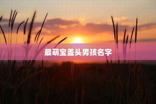 最萌宝盖头男孩名字