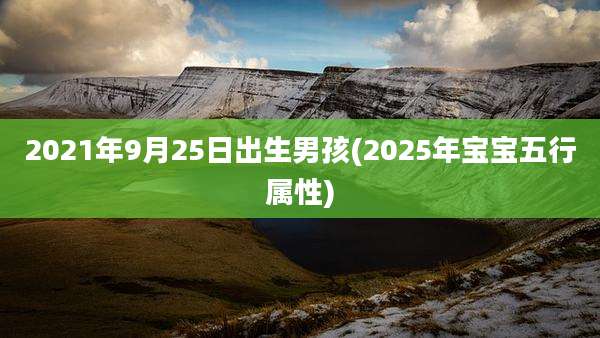 2021年9月25日出生男孩(2025年宝宝五行属性)