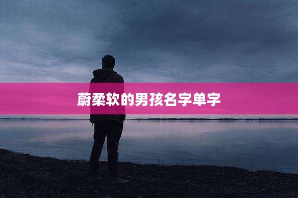 蔚柔软的男孩名字单字
