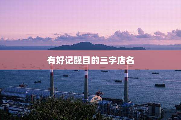 有好记醒目的三字店名