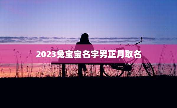 2023兔宝宝名字男正月取名