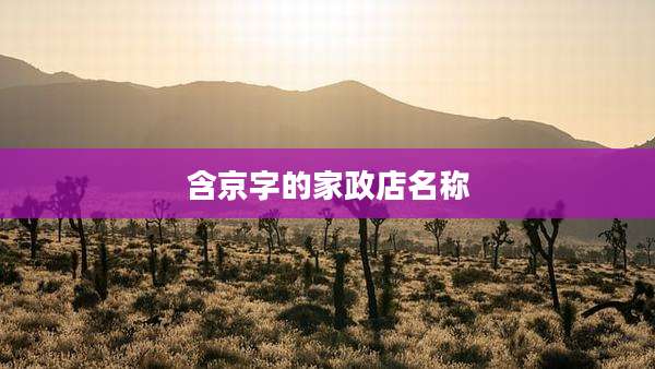 含京字的家政店名称