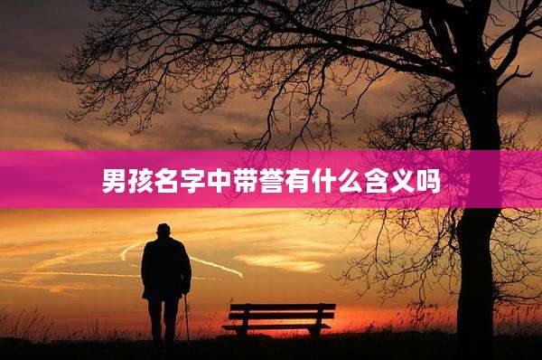 男孩名字中带誉有什么含义吗