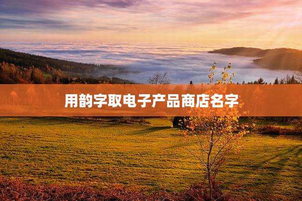 用韵字取电子产品商店名字
