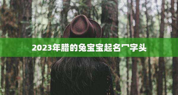 2023年腊的兔宝宝起名冖字头