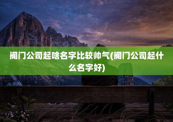 阀门公司起啥名字比较帅气(阀门公司起什么名字好)