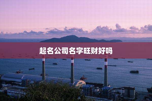 起名公司名字旺财好吗