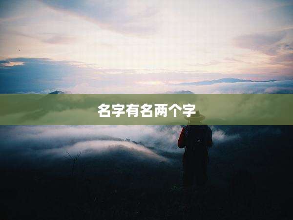 名字有名两个字