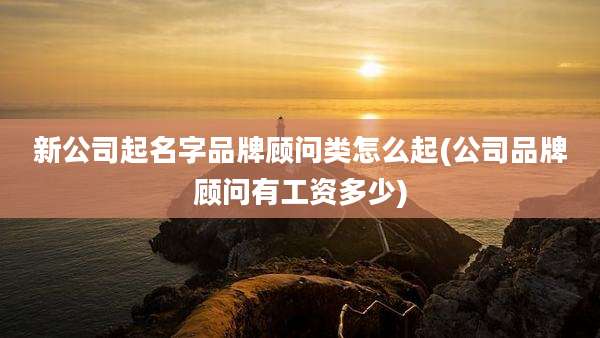 新公司起名字品牌顾问类怎么起(公司品牌顾问有工资多少)