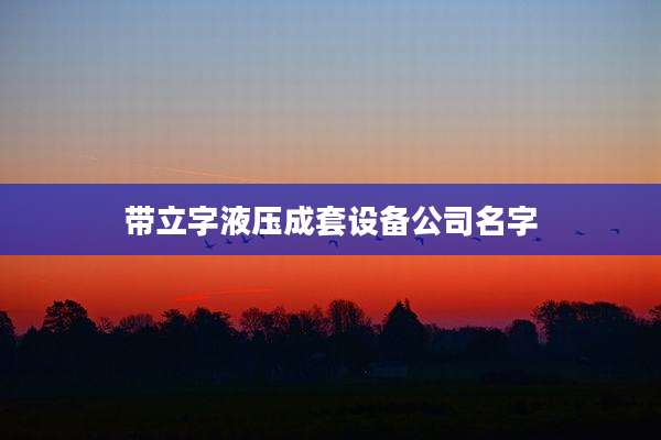 带立字液压成套设备公司名字