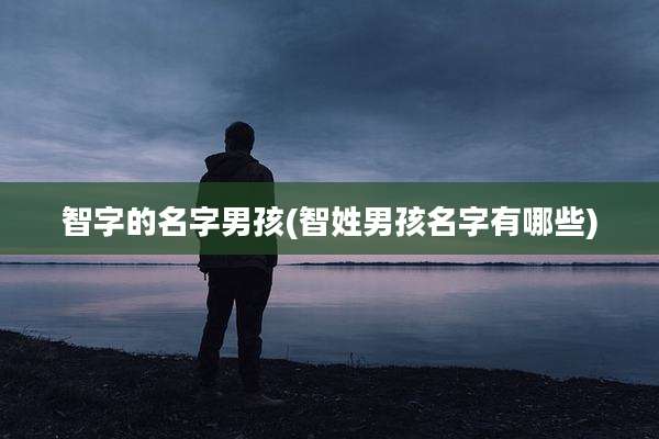 智字的名字男孩(智姓男孩名字有哪些)