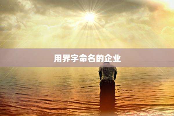 用界字命名的企业