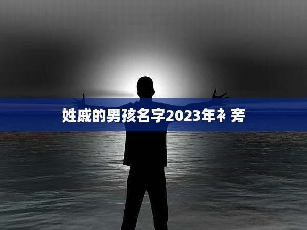 姓戚的男孩名字2023年衤旁