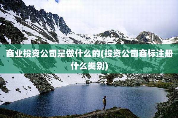 商业投资公司是做什么的(投资公司商标注册什么类别)