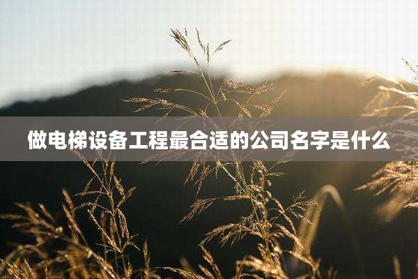 做电梯设备工程最合适的公司名字是什么