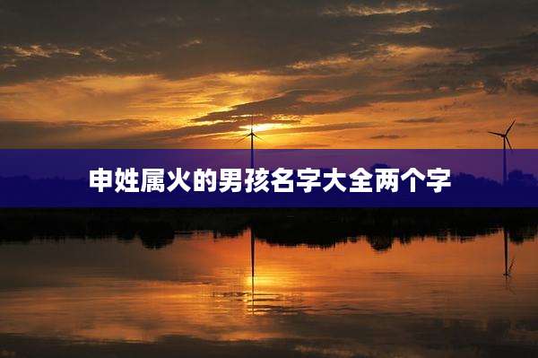 申姓属火的男孩名字大全两个字