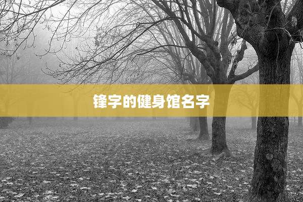 锋字的健身馆名字