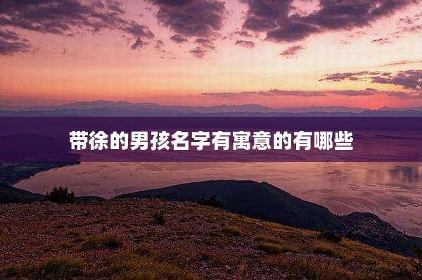 带徐的男孩名字有寓意的有哪些