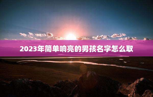2023年简单响亮的男孩名字怎么取