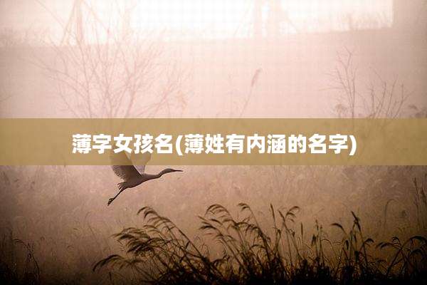 薄字女孩名(薄姓有内涵的名字)