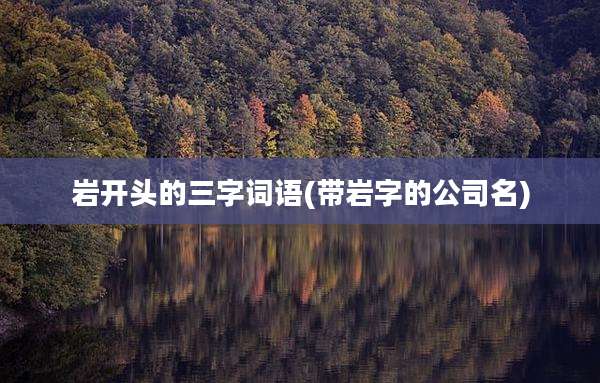 岩开头的三字词语(带岩字的公司名)