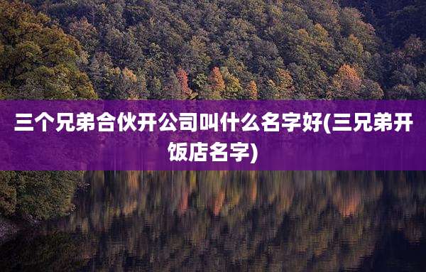 三个兄弟合伙开公司叫什么名字好(三兄弟开饭店名字)
