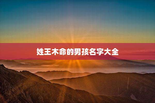 姓王木命的男孩名字大全