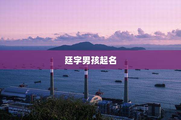 廷字男孩起名