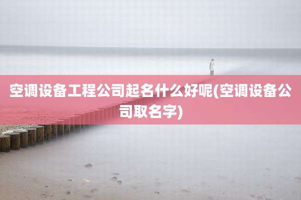空调设备工程公司起名什么好呢(空调设备公司取名字)