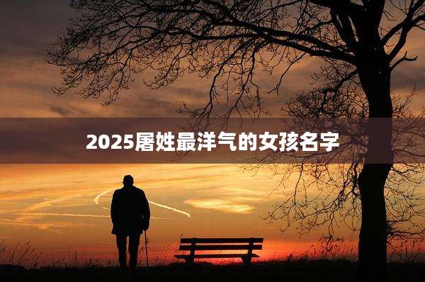 2025屠姓最洋气的女孩名字