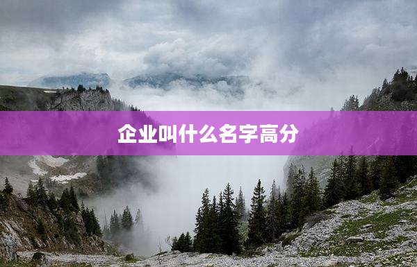企业叫什么名字高分