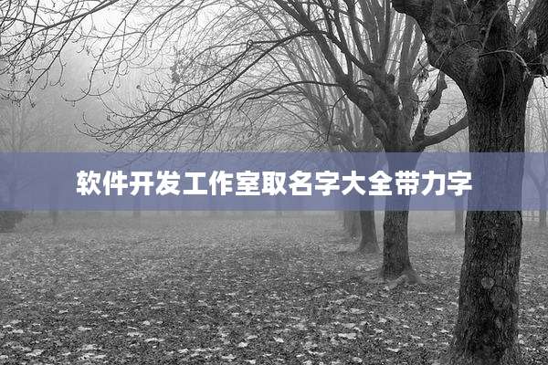 软件开发工作室取名字大全带力字
