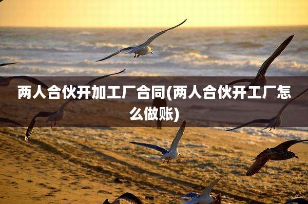 两人合伙开加工厂合同(两人合伙开工厂怎么做账)