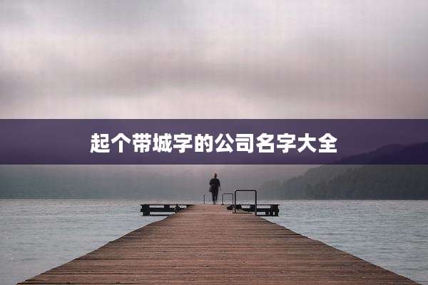 起个带城字的公司名字大全