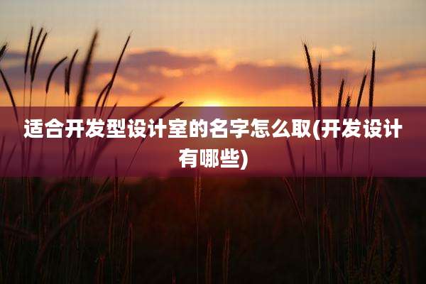 适合开发型设计室的名字怎么取(开发设计有哪些)