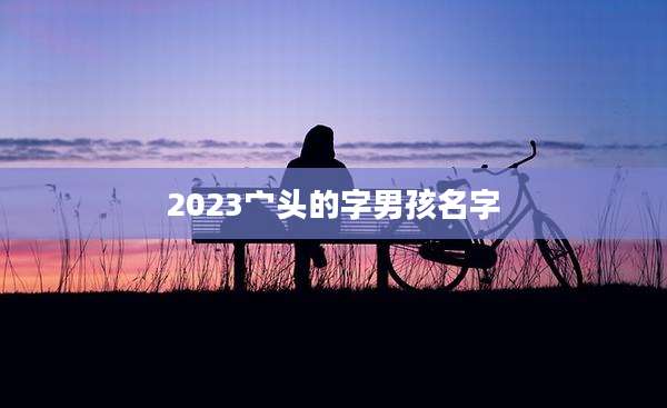 2023宀头的字男孩名字