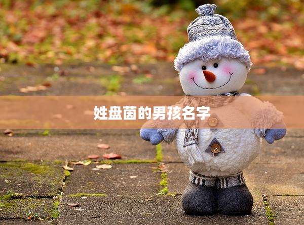 姓盘茵的男孩名字